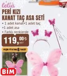 PERİ KIZI KANAT TAÇ ASA SETİ